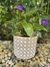 CACHEPOT CERÂMICA MARROM / BRANCO - comprar online