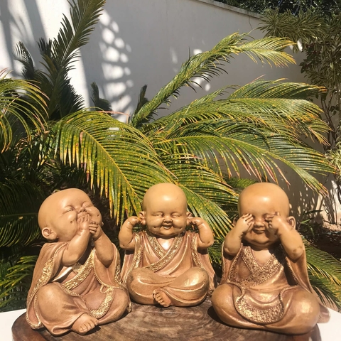 Trio Ternurinha Marrom