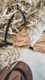 Triangulo bikini morley en internet