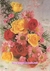 Papel de Carta Fantasia Grande - A4 nº 53 - Rosas - buy online