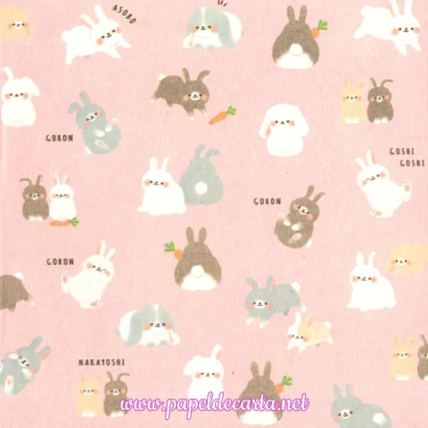 Papel de Carta Importado do Japão - Origami n. 27