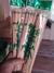 Palitos Brochet