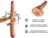 238 Mega Dildo Pene Grueso Venoso 30 Cm Grande - comprar en línea