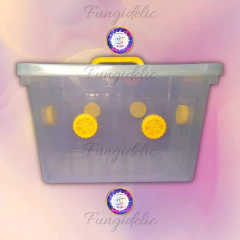 Fructificadora simple