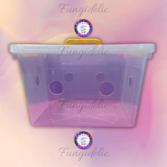 Fructificadora simple - comprar online