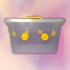 Pack 6 filtros de ventilación para fructificadora en internet