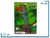 Animales Reptiles de Goma Soft - Se estiran - Tiburon