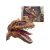 Titere De Dinosaurio - Hand Puppet Dinosaur - 21 Cm