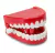 Dentadura A Cuerda - Dientes