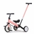 Love Camicleta Triciclo Con Barral 2 en 1 convertible - tienda online
