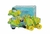 Leccese PATINES - ROLLERS - Patin Clasic Classic Verde - 27 al 41