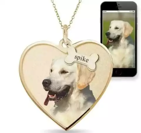 Colar Coração Meu Pet Favorito