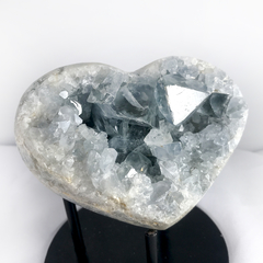 Corazon de Celestina en internet