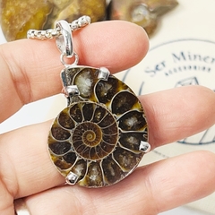 Dije Amonite - comprar online