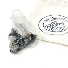 Pieza de Shipcita (C) - Ser Mineral Accesorios 