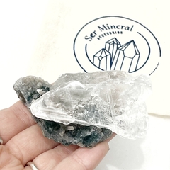 Pieza de Shipcita (C) - tienda online