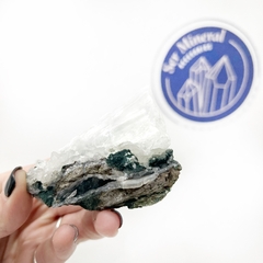Pieza de Shipcita (E) - comprar online