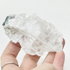Pieza de Shipcita (G)