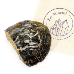 Geoda de Agata negra cristalizada (A) - Ser Mineral Accesorios 