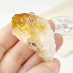 Pico de Citrino pequeño (C) - comprar online