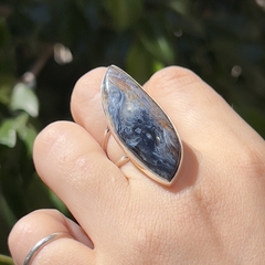 Anillo Pietersita en internet