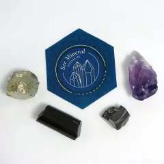 Kit Protección Pemium en internet