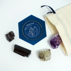 Kit Protección Pemium