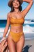 Bikini Farah en internet