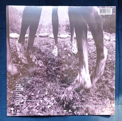 LP PEARL JAM - VS. na internet