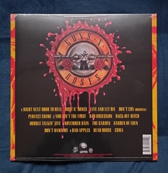 LP GUNS N' ROSES - USE YOUR ILLUSION I (DUPLO) na internet