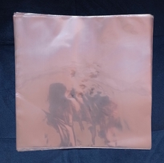 PLÁSTICO EXTERNO PARA VINIL - 10 UNIDADES