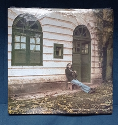 LP ARTHUR VEROCAI - ARTHUR VEROCAI 1972 (COLORIDO) na internet