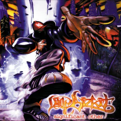 LP LIMP BIZKIT - SIGNIFICANT OTHER (DUPLO)