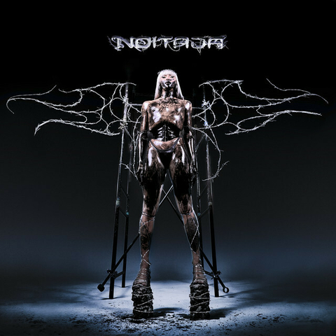LP PABLLO VITTAR - NOITADA (CINZA)