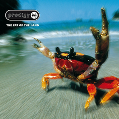 LP PRODIGY - THE FAT OF THE LAND (DUPLO) - comprar online