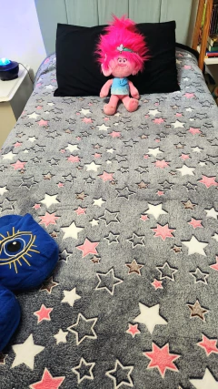 Imagen de FRAZADA LUMINOSA 2 plazas CON CORDERITO