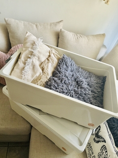 CAJA ORGANIZADORA 40 LTS ECO FRIENDLY CON TAPA Y RUEDAS - comprar online