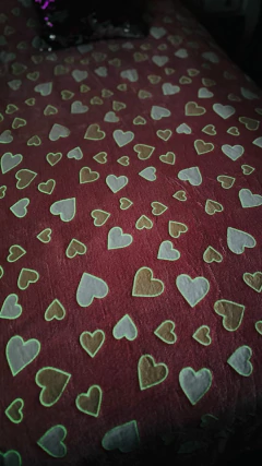 FRAZADA/MANTA POLAR LUMINOSA en internet