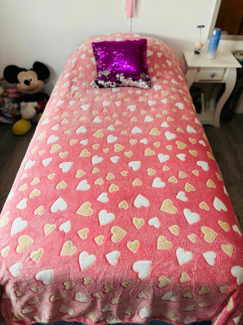 FRAZADA/MANTA POLAR LUMINOSA - comprar online