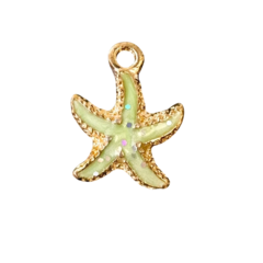 Imagem do Pingente Estrela do Mar