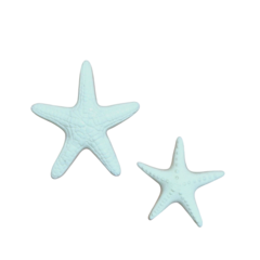 Aplique de Resina - Estrelas do mar - comprar online