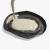 Fossils paleo lab - Dr Steven Hunters - tienda online
