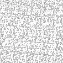 Empapelado Mirlo en internet