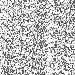 Empapelado Mirlo - ideastodoterreno