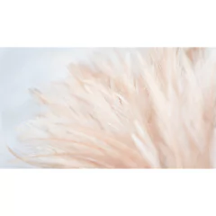 Empapelado Plumas rosas - comprar online