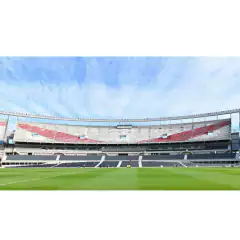 Empapelado River Plate Cancha - comprar online