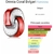 Amostra Bvlgari Omnia Coral EDT 1.5 ml ORIGINAL na internet