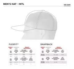 GORRA ALPINESTARS Flag Snapback Hat en internet