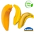 Kit 02 Potes Porta Mix Banana/Sanduicheira R:4757/1315 Plasutil - Loja Artfest