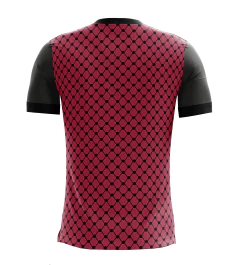 CONJUNTO DEPORTIVO ( Camiseta + short ) PALESTINO ARTEMIX CF-1775